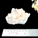 Himalayan Quartz Clusters - Large Cabinet Size (Amplify Energy and Healing)