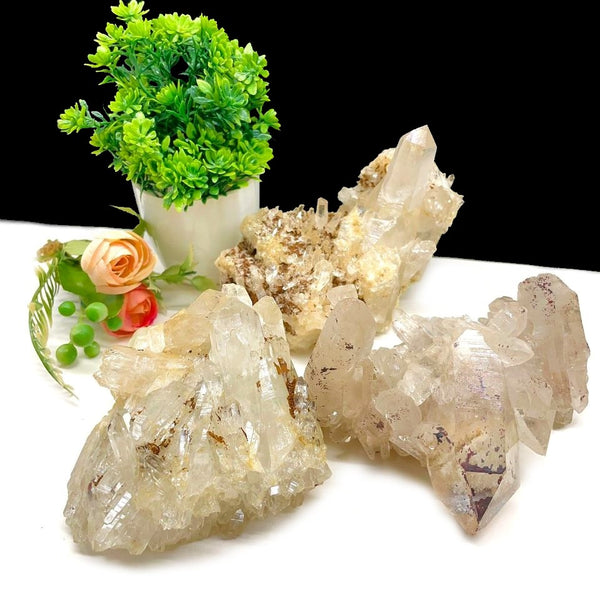 Himalayan Quartz Clusters - Large Cabinet Size (Amplify Energy and Healing)