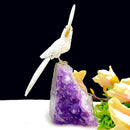 Howlite Parrot on Amethyst Cluster