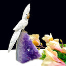 Howlite Parrot on Amethyst Cluster