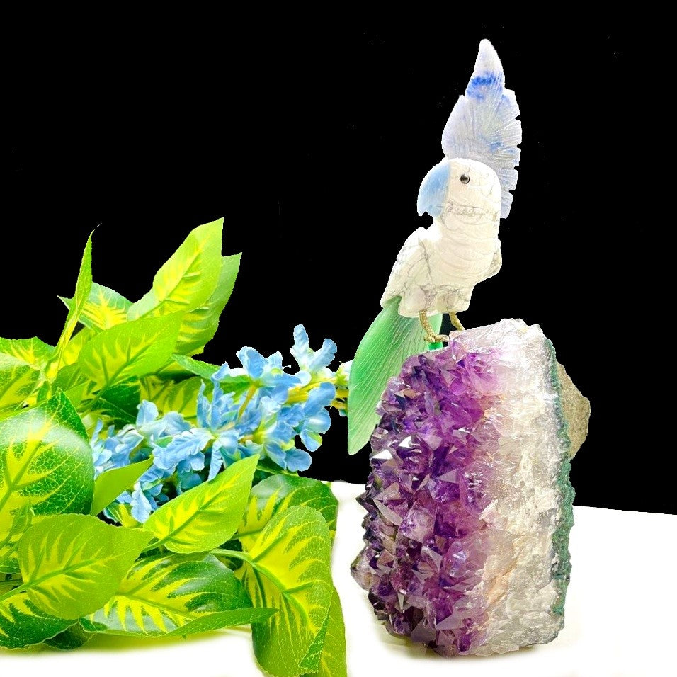 Exclusive - Howlite Parrot on Amethyst Cluster | Talk to Crystals