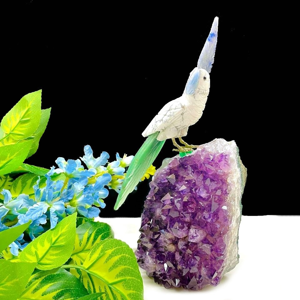 Exclusive - Howlite Parrot on Amethyst Cluster | Talk to Crystals