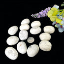 Howlite Tumble (Peace and Calm)