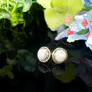 Howlite Earrings in Silver