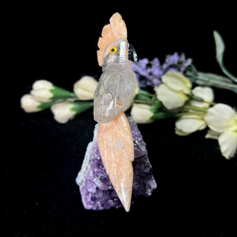 Small Crystal Birds / Parrots on Amethyst Druzy from Brazil