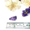 Iowaite Mineral Specimen