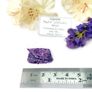 Iowaite Mineral Specimen