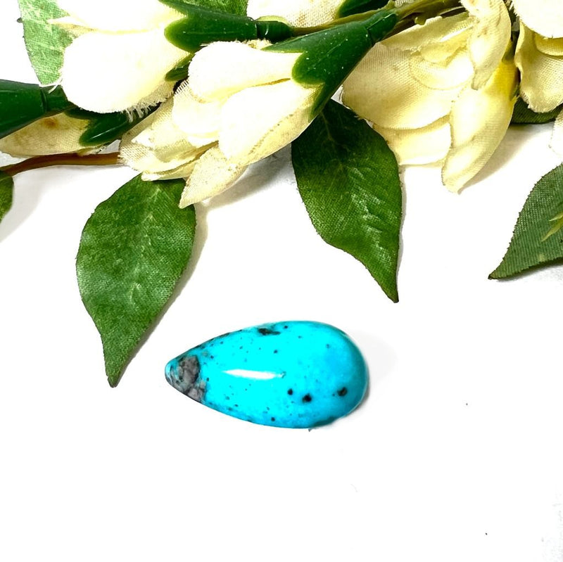 Natural Iranian Turquoise (Firoza)
