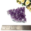 Amethyst Cluster (Spirituality and Wisdom)