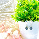 Labradorite Earrings in Silver