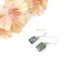 Labradorite Earrings in Silver
