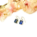 Labradorite Earrings in Silver