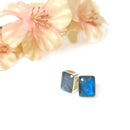 Labradorite Earrings in Silver