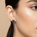 Labradorite Earrings in Silver