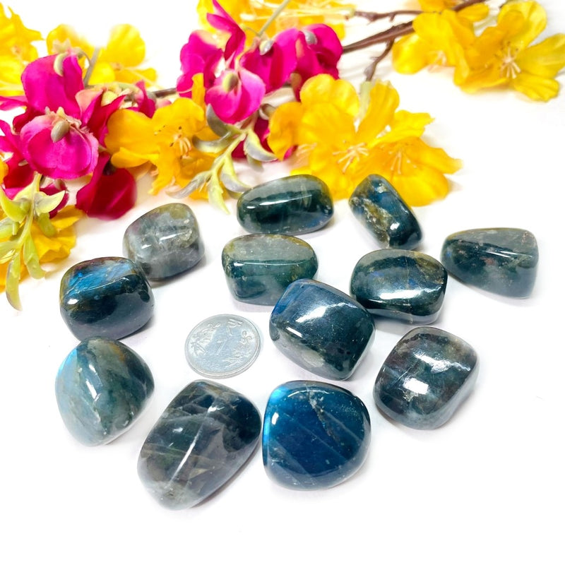 Labradorite Tumble (Spiritual Awakening & Transformation)