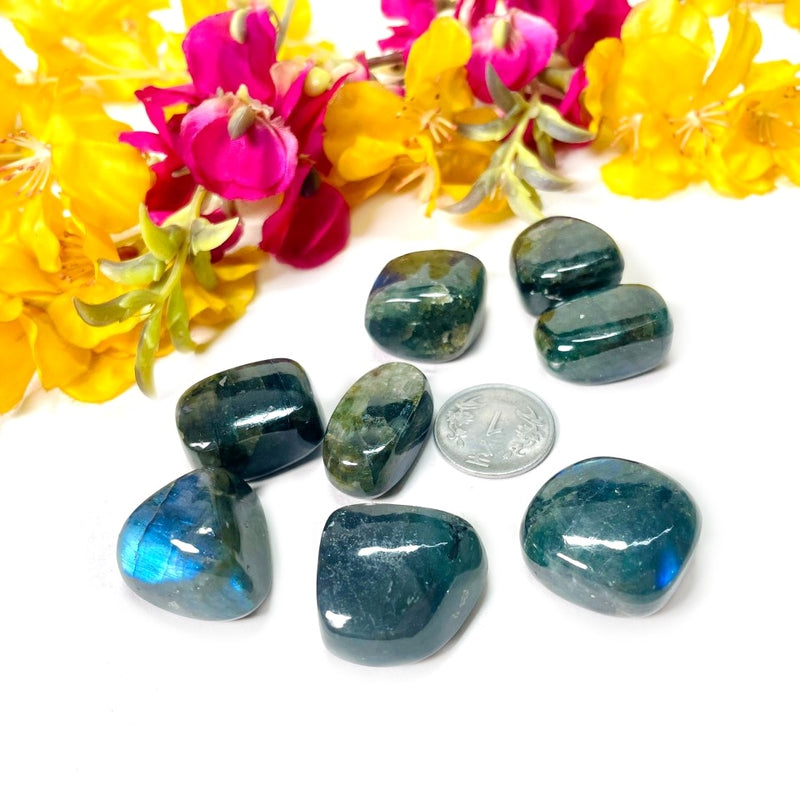 Labradorite Tumble (Spiritual Awakening & Transformation)