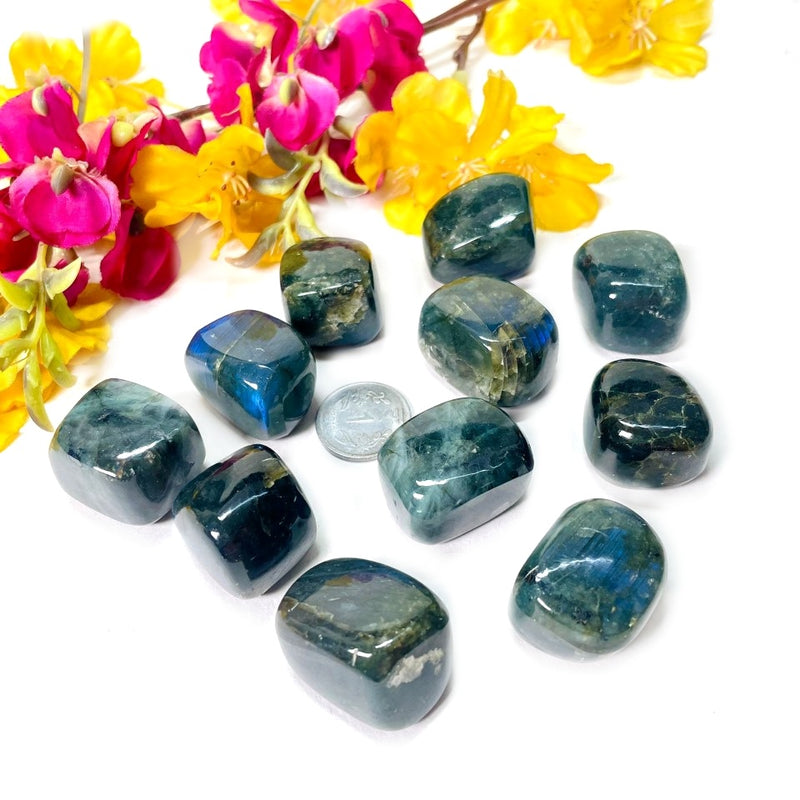 Labradorite Tumble (Spiritual Awakening & Transformation)