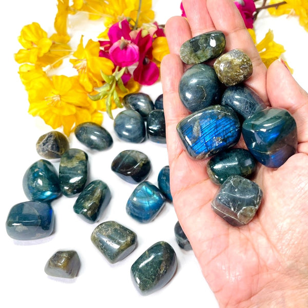 Labradorite Tumble (Spiritual Awakening & Transformation)