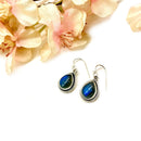 Labradorite Earrings in Silver