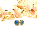 Labradorite Earrings in Silver