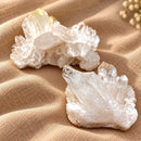 Large Clear Quartz AAA Cluster from Brazil by Talk to Crystals for energy amplification, meditation and clearing negative energy