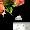 Rare Large Phenacite (High Vibration Crystals)