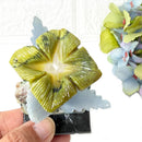 Crystal Hummingbirds and Flower from Peru