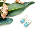 Larimar Earrings in Silver