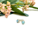 Larimar Earrings in Silver