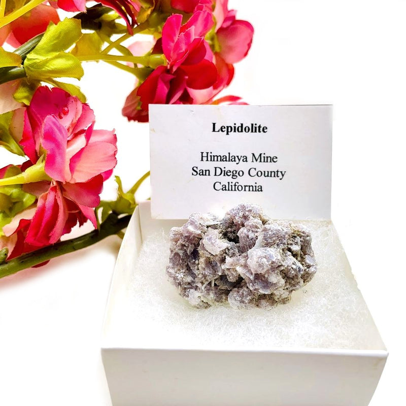 Lepidolite Mineral Specimen (Himalaya Mine, California)