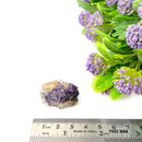 Natural Citrine w/ Lepidolite Rough (Motivation & Manifestation)