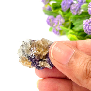 #Size_option a (13 g)