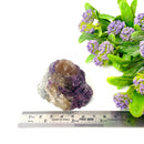 Natural Citrine w/ Lepidolite Rough (Motivation & Manifestation)