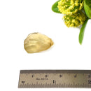 Libyan Desert Glass