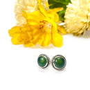 Light Green Aventurine Earrings in Silver