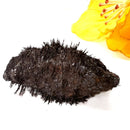 Lodestone (Grounding and Manifestation)