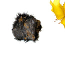 Lodestone (Grounding and Manifestation)