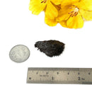 Lodestone (Grounding and Manifestation)