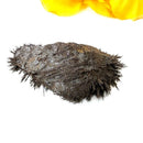 Lodestone (Grounding and Manifestation)