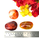 Carnelian Palmstone (Creativity & Vitality)