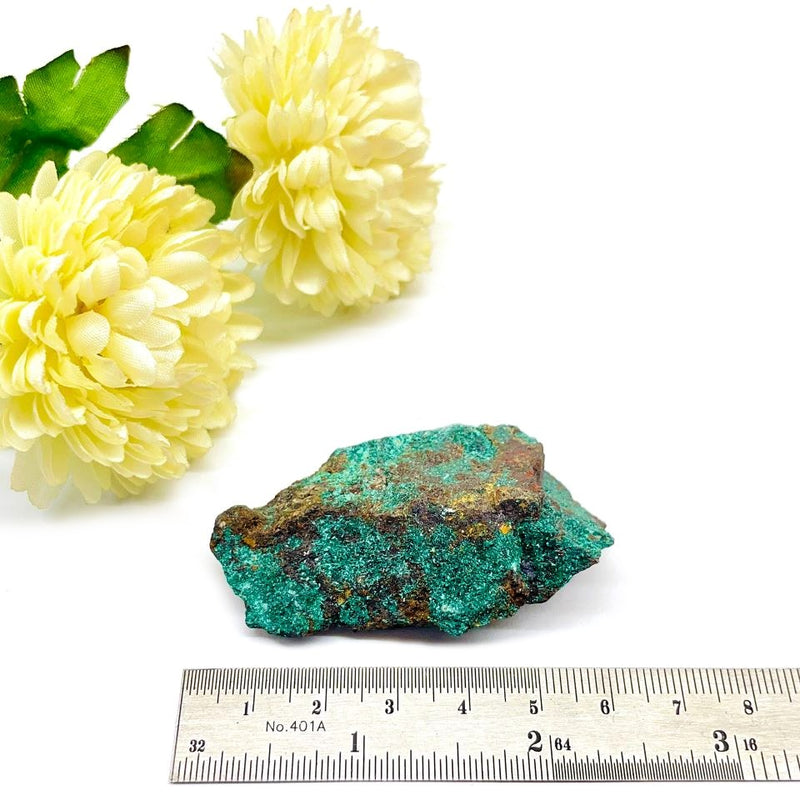 Malachite Mineral Specimen (California, USA)