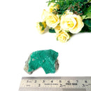 Druzy Malachite (Transformation and Protection)