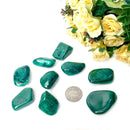 Malachite Tumble (Spiritual protection and healing)