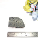 Marcasite Slice