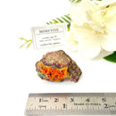 Mimetite Mineral Specimen (Arizona, USA)