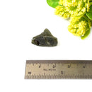 Moldavite Rough (Spiritual growth & Abundance)