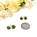 Moldavite Earrings in Silver