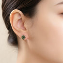 Moldavite Earrings in Silver