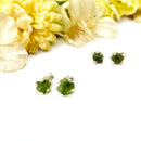 Moldavite Earrings in Silver