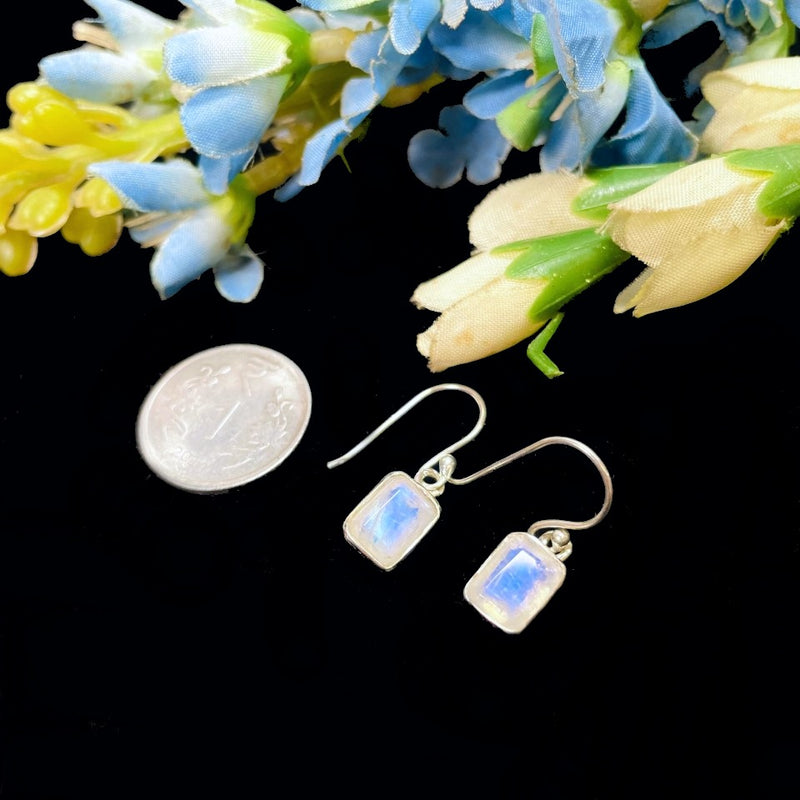 Moonstone Earrings in Silver